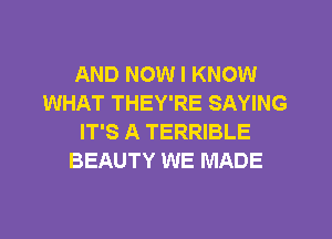 AND NOW I KNOW
WHAT THEY'RE SAYING
IT'S A TERRIBLE
BEAUTY WE MADE