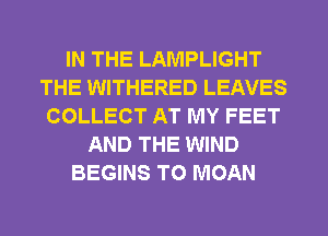 IN THE LAMPLIGHT
THE WITHERED LEAVES
COLLECT AT MY FEET
AND THE WIND
BEGINS TO MOAN