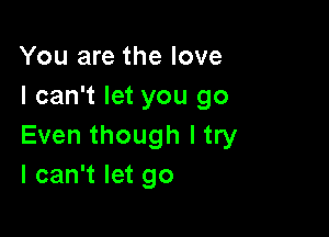 You are the love
I can't let you go

Even though ltry
I can't let go