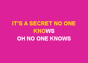 IT'S A SECRET NO ONE
KNOWS

OH NO ONE KNOWS