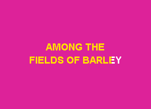 AMONG THE

FIELDS OF BARLEY