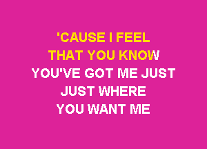 'CAUSE I FEEL
THAT YOU KNOW
YOU'VE GOT ME JUST

JUST WHERE
YOU WANT ME