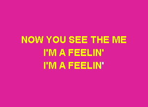 NOW YOU SEE THE ME
I'M A FEELIN'

I'M A FEELIN'