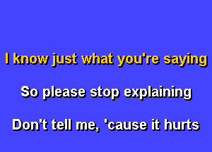 I know just what you're saying
So please stop explaining

Don't tell me, 'cause it hurts