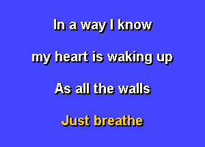 In a way I know

my heart is waking up

As all the walls

Just breathe