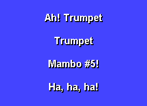 Ah! Trumpet

Trumpet
Mambo 15!

Ha, ha, ha!