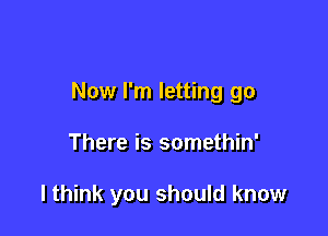 Now I'm letting go

There is somethin'

lthink you should know