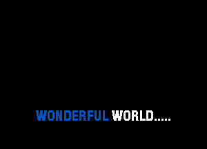 WONDERFUL WORLD .....