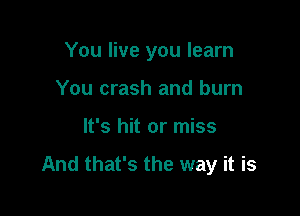 You live you learn

You crash and burn
It's hit or miss
And that's the way it is