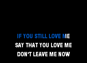 IF YOU STILL LOVE ME
SAY THAT YOU LOVE ME
DON'T LEAVE ME NOW