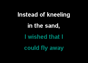 Instead of kneeling

in the sand,
I wished that I

could fly away