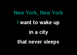 New York, New York
I want to wake up

in a city

that never sleeps