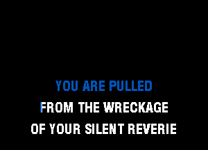 YOU ARE PULLED
FROM THE WRECKAGE

OF YOUR SILENT REVERIE l