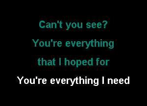 Can't you see?

You're everything
that I hoped for

You're everything I need