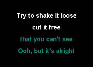 Try to shake it loose

cut it free

that you can't see

Ooh, but it's alright