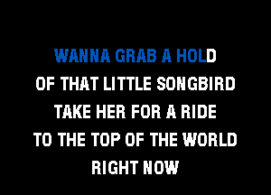 WANNA GRAB A HOLD
OF THAT LITTLE SOHGBIRD
TAKE HER FOR A RIDE
TO THE TOP OF THE WORLD
RIGHT NOW