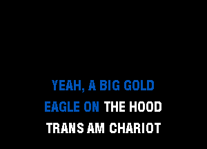 YERH, A BIG GOLD
EAGLE ON THE HOOD
TRANS AM CHARIOT