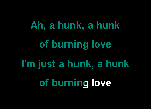 Ah, a hunk, a hunk
of burning love

I'm just a hunk, a hunk

of burning love