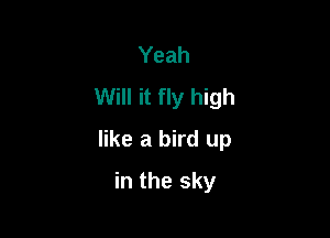 Yeah
Will it fly high

like a bird up

in the sky