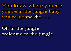 You know where you are
you're in the jungle baby
youTe gonna die . . .

Oh in the jungle
welcome to the jungle