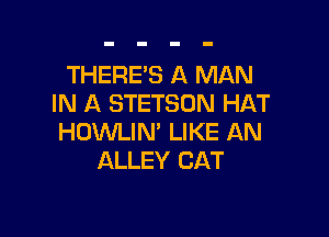 THERE'S A MAN
IN A STETSDN HAT

HOWLIN' LIKE AN
ALLEY CAT