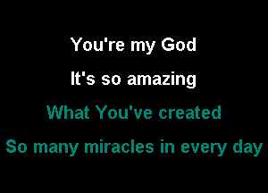 You're my God
It's so amazing

What You've created

So many miracles in every day