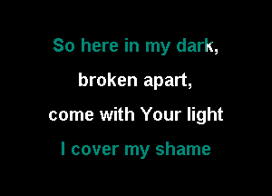 So here in my dark,

broken apart,

come with Your light

I cover my shame