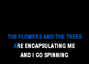 THE FLOWERS AND THE TREES
ARE EHCAPSULATIHG ME
AND I GO SPINNING