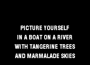 PICTURE YOURSELF
IN A BOAT ON A RIVER
WITH TAHGEBINE TREES

AND MARMALADE SKIES l
