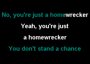 No, you're just a homewrecker

Yeah, you're just
a homewrecker

You don't stand a chance