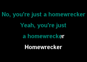 No, you're just a homewrecker

Yeah, you're just
a homewrecker

Homewrecker