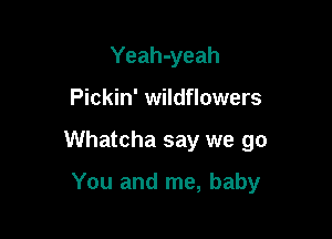Yeah-yeah

Pickin' wildflowers

Whatcha say we go

You and me, baby