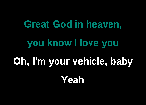 Great God in heaven,

you know I love you

Oh, I'm your vehicle, baby
Yeah