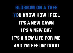 BLOSSOM ON A TREE
YOU KNOW HOWI FEEL
IT'S A NEW DAWN
IT'S A NEW DAY
IT'S A NEW LIFE FOR ME

AND I'M FEELIH' GOOD I