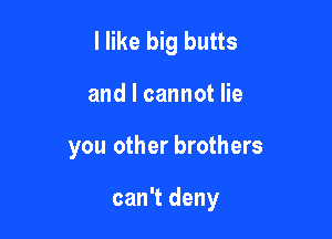 I like big butts
and I cannot lie

you other brothers

can't deny