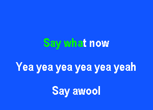 Say what now

Yea yea yea yea yea yeah

Say awool