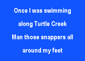 Once I was swimming

along Turtle Creek

Man those snappers all

around my feet
