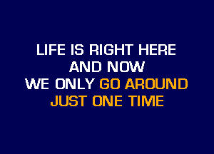 LIFE IS RIGHT HERE
AND NOW
WE ONLY GO AROUND
JUST ONE TIME