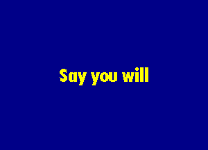 Say you will