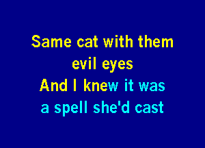 Same cat with them
evil eyes

And I knew it was
a spell she'd cast