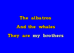 The albatros
And. the whales

They are my brothers