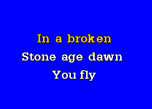 In a brok en

Stone age dawn
You fly
