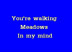 You're walking

Meadows
In my mind