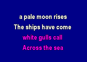 a pale moon rises

The ships have come