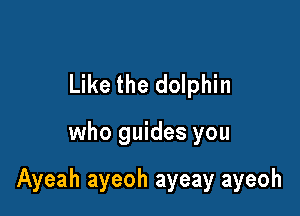 Like the dolphin

who guides you

Ayeah ayeoh ayeay ayeoh