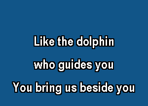Like the dolphin

who guides you

You bring us beside you