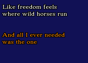 Like freedom feels
Where wild horses run

And all I ever needed
was the one