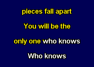 pieces fall apart

You will be the
only one who knows

Who knows