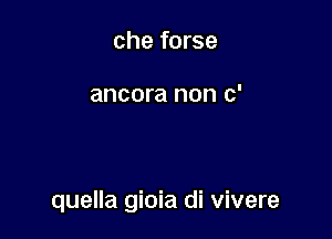 che forse

ancora non c'

quella gioia di vivere