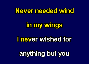 Never needed wind

in my wings

I never wished for

anything but you